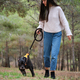 Young caucasian woman training to stop her dog from leash pulling. - PhotoDune Item for Sale