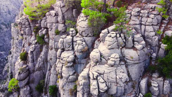 Natural Miracle Mountains Valley Landscape with Forest and Trees Epic Aerial Drone Flight Over Huge alt