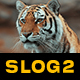 Slog2 Wildlife and Standard LUTs - VideoHive Item for Sale