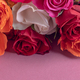 Bunch of colorful roses - PhotoDune Item for Sale