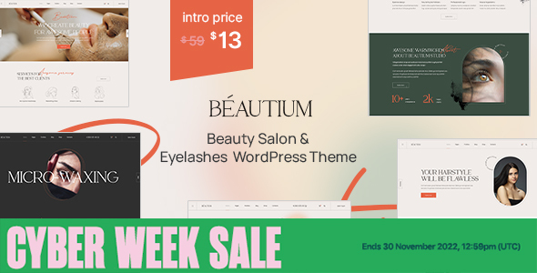 Download Beautium Beauty Salon & Eyelashes Studio WordPress Theme Free Nulled Beautium Beauty Salon & Eyelashes Studio WordPress Theme