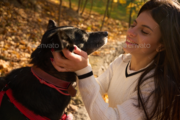 Laughing young woman petting a black dog - Stock Photo - Images