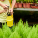 Father and Son Using Garden Sprayer - PhotoDune Item for Sale