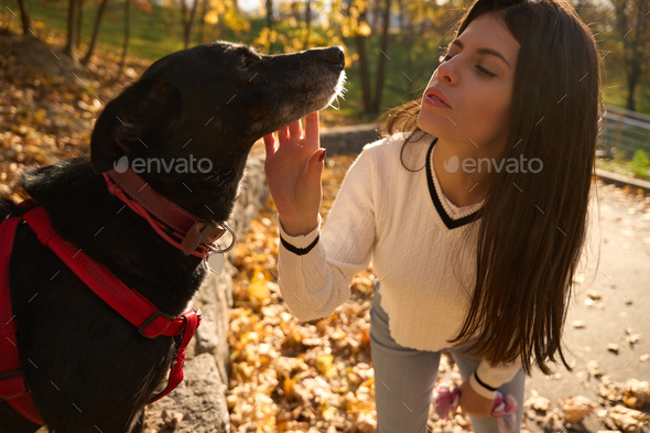 Cute young woman in park communicates with a black dog - Stock Photo - Images