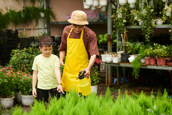 Father Showing How to Spray Plants - Stock Photo - Images