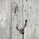 Vintage wooden door - PhotoDune Item for Sale