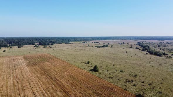Aero Birdview Field Landscape Drone Fly
