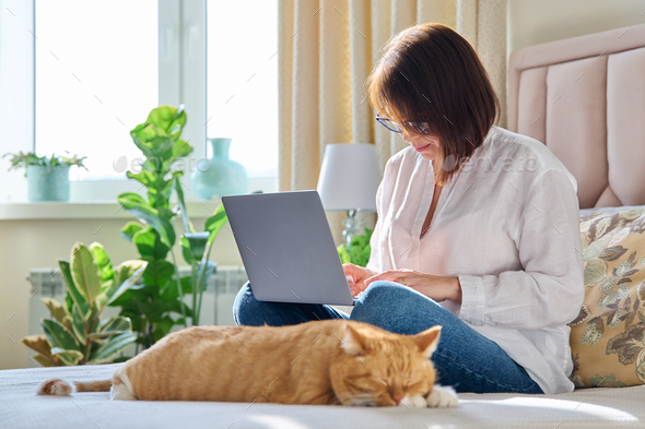 Mature woman using laptop sitting on couch at home, with relaxed sleeping ginger cat - Stock Photo - Images