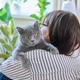 Gray pet cat in the hands of woman owner - PhotoDune Item for Sale