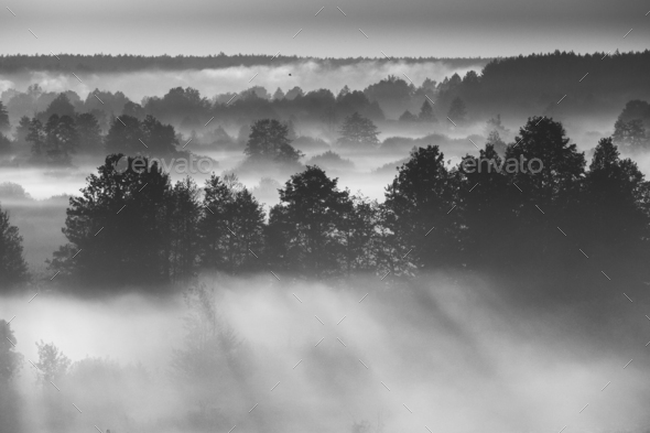 Morning Fog Illuminated By Sun Covers Plain Landscape. Black And White Retro Bw Black White. Aerial - Stock Photo - Images