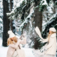 Handsome mother and daughter are having fun outdoor in winter time. Playing with snow in forest  - PhotoDune Item for Sale