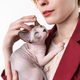 Hipster young redhead woman with short hair gently hugging to her chest Canadian Sphynx Cat - PhotoDune Item for Sale