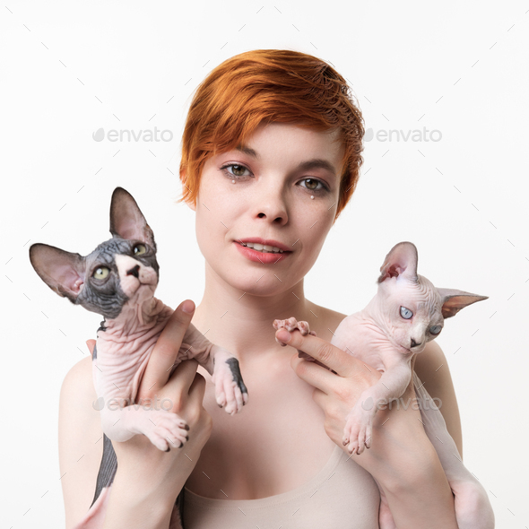 Redhead young woman looking at camera, hugging two Sphynx Cat in hands on white background - Stock Photo - Images
