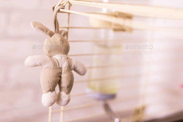 Beige rabbit doll in cage copy space - accessories and toys for pets and birds - Stock Photo - Images