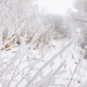 Snow-covered landscape of open spaces near the river. Snowy weather - PhotoDune Item for Sale