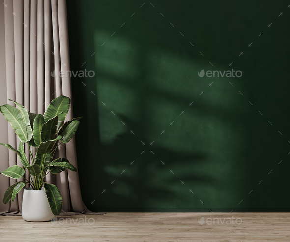 Empty green wall with sunlight in room with green plant in pol and curtain, 3d rendering - Stock Photo - Images