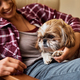 Shih Tzu dog enjoying while resting on his owner&#39;s lap at home, - PhotoDune Item for Sale