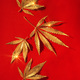 Abstract red christmas background with golden cannabis, marijuana leaves with shine. - PhotoDune Item for Sale