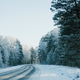 Winter landscape, Winter forest road and trees, pine trees frosty day on the forest road - PhotoDune Item for Sale