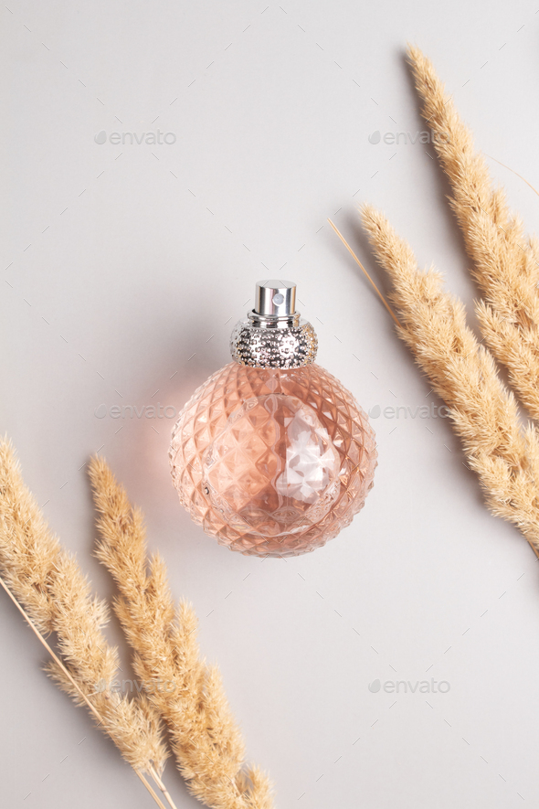 Perfume bottle and pampas grass. Concept of expensive perfume and