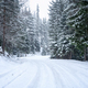 Snowy road in a winter forest - PhotoDune Item for Sale