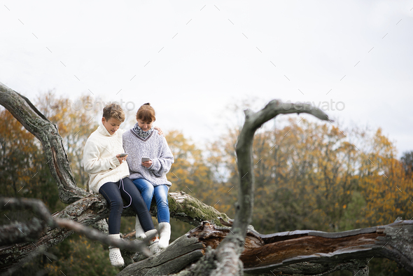 mother and son teen sit with their backs together on a tree branch and use cell phones and headsets