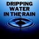 Dripping Water In The Rain