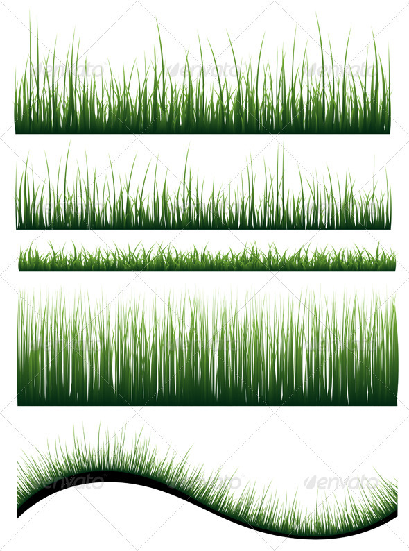 Grass - Flowers & Plants Nature