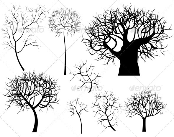 Trees - Flowers & Plants Nature
