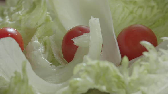 Closeup fresh lettuce leaves and tomatoes