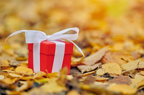 Autumn gift box Stock Photo by travelarium