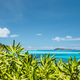 Tropical coast at La Digue island, Seychelles. Lush green vegetation, turquoise blue ocean and - PhotoDune Item for Sale