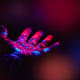 Colorfully Lit Hand - PhotoDune Item for Sale