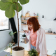 Young woman pouring water in flower pot with indoor houseplant from watering can. - PhotoDune Item for Sale