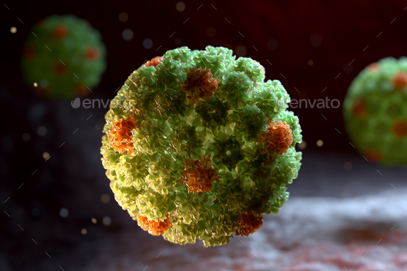 Papilloma Virus. HPV - Stock Photo - Images