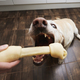Happy dog takes chewing bone from pet owner - PhotoDune Item for Sale