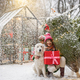 Woman with dog celebrates winter holidays - PhotoDune Item for Sale