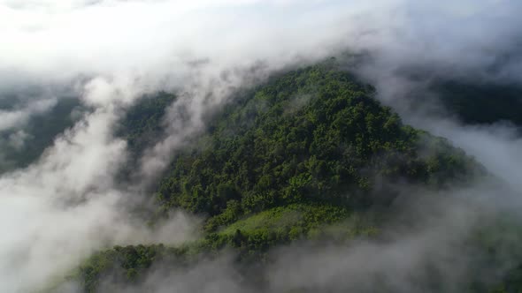 4K aerial view from a drone flying over the valley, fog in the morning alt