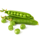 Green peas isolated - PhotoDune Item for Sale