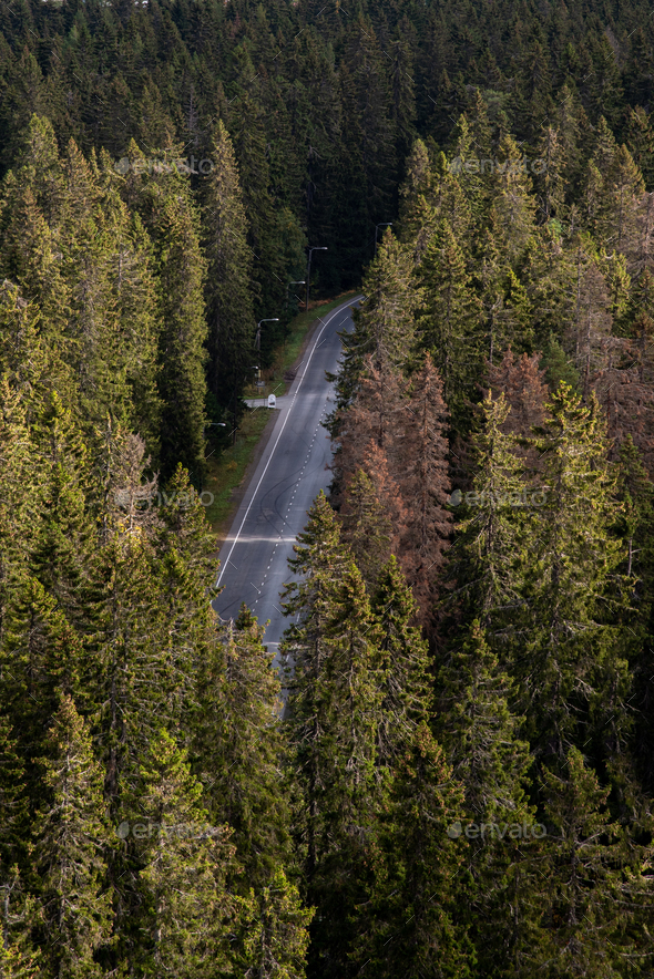 Empty road passing through the dense forest in autumn. Hidden road. finland