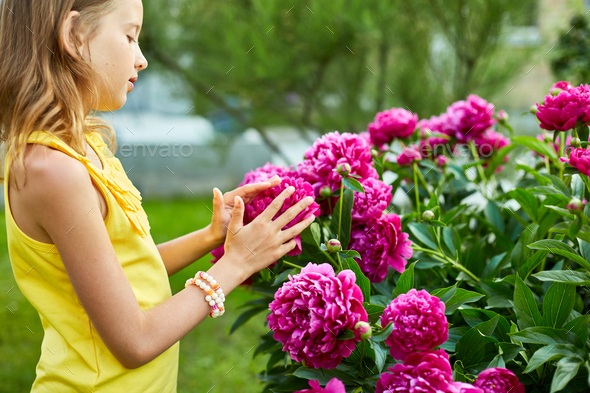 Little girl in the garden in bushes of peonies, child touch the flower - Stock Photo - Images