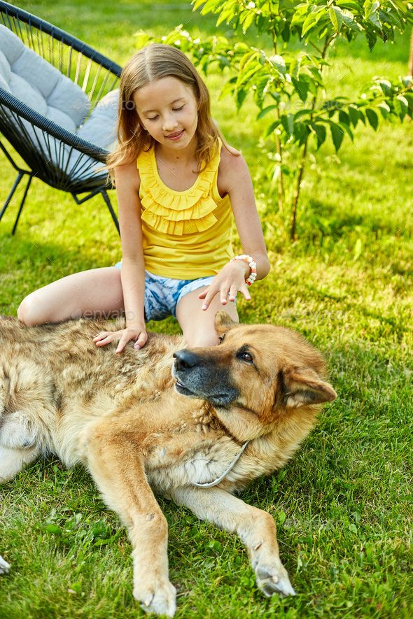 Cute girl and old dog enjoy summer day on the grass in the park - Stock Photo - Images
