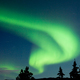 Taiga tree tops Aurora borealis swirl substorm - PhotoDune Item for Sale