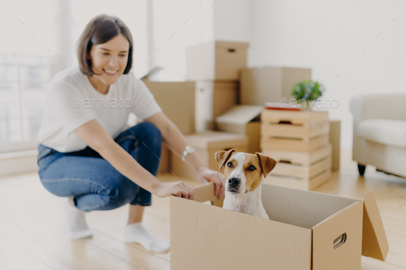 Happy young female house owner poses near cartboard box with favourite pet - Stock Photo - Images