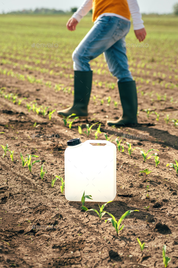 Herbicide jug container in corn seedling field, farmer walking in background - Stock Photo - Images
