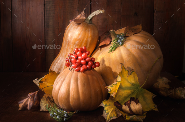Pumpkin and fruits - Stock Photo - Images