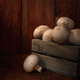 mushrooms in a wooden box - PhotoDune Item for Sale