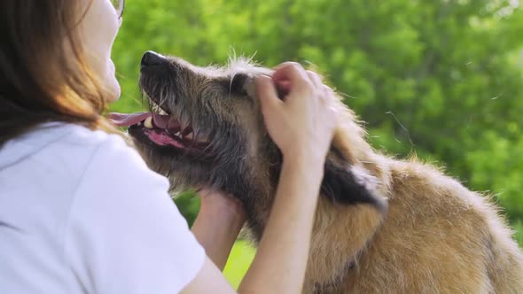 Girl in Glasses Tears Up Fur of Shedding Dog in Green Park