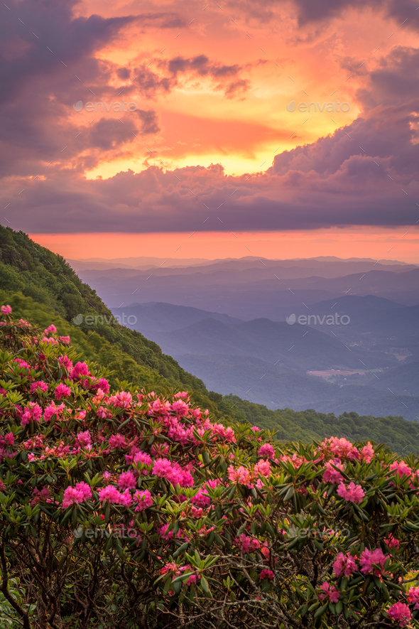 The Great Craggy Mountains on the Blue Ridge Parkway in North Carolina, USA  - Stock Photo - Images