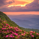 The Great Craggy Mountains on the Blue Ridge Parkway in North Carolina, USA  - PhotoDune Item for Sale